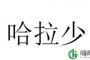 雷霆嘎巴是什么意思 雷霆嘎巴俄语