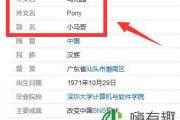 pony马是什么梗，pony马的来源