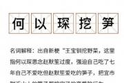 何以琛挖笋 何以琛挖笋是什么梗