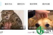 rua是什么梗