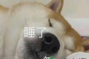 cue我是什么意思梗（cue我是什么意思）