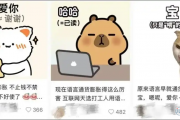 语言通货膨胀什么意思？
