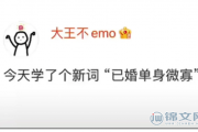 已婚单身微寡什么意思？