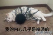 我的内心几乎是崩溃的什么意思？