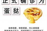 确诊为蛋挞什么意思？