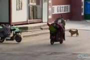 你个logo什么意思？