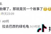 拉去巴西钓绿毛龟是什么意思?