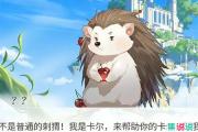 卡尔刺猬是什么意思？