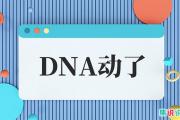 谁的青春DNA动了是什么意思？