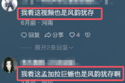 风韵犹存是什么意思梗