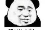 ppj什么意思