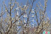 大小姐文学是什么意思？