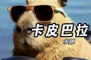 卡皮巴拉是什么意思网络用语