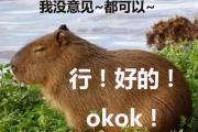 卡皮巴拉是什么意思网络用语