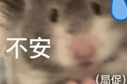偷感很重是什么意思？