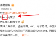 repo是什么意思饭圈