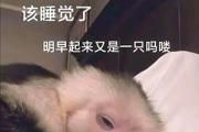 吗喽、马喽、马楼是什么意思网络用语
