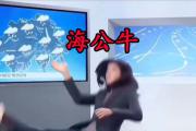 海公牛是什么意思梗