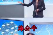 海公牛是什么意思梗