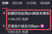奥运会pin是什么意思