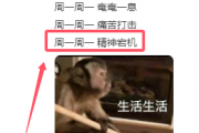 宕机网络用语是什么意思