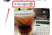 牛马是什么意思