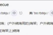 barbecue是什么意思网络流行语