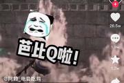 barbecue是什么意思网络流行语