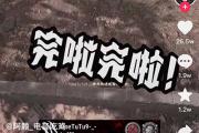 barbecue是什么意思网络流行语