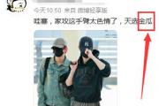 金瓜是什么意思饭圈