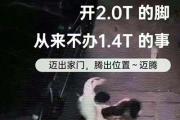 迈腾是什么梗
