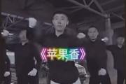 六星街里还传来巴扬琴声吗是什么梗？
