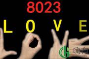 8023是什么意思 接受婚检但不能8023是什么意思