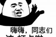 day0是什么梗（day0是什么意思）