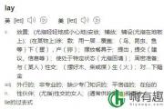 lay了是什么梗（lay了的出处）