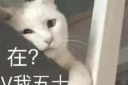 v我50是什么梗 v我50这个梗咋来的
