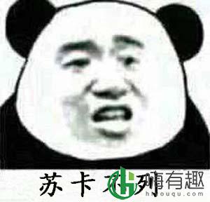 苏卡不列是什么意思