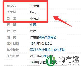 pony马是什么梗
