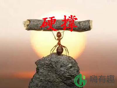 gin什么意思 gin是什么梗