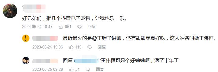 电子宠物是什么意思网络用语