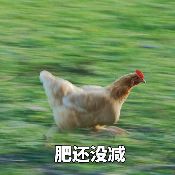肥还没城