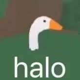 halo