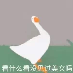 看什么看，没见过美女吗