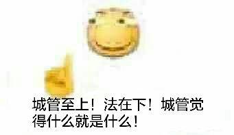 城管至上!法在下!城管觉得什么就是什么!