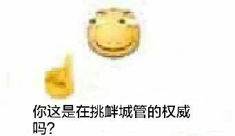 你这是在挑衅城管的权威吗?