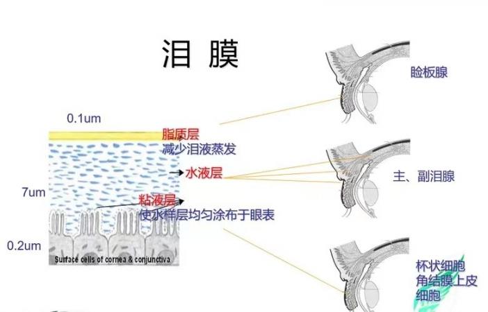 哭真的有利于身心健康