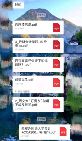 pdf是什么意思网络热词