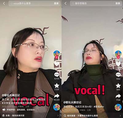 vocal是什么意思网络用语