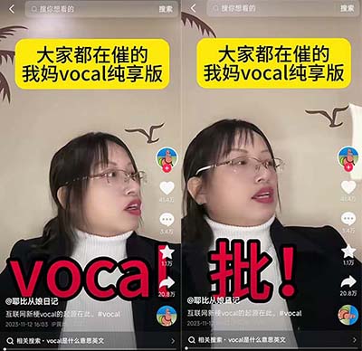 vocal是什么意思网络用语