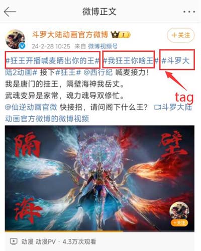 tag什么网络用语